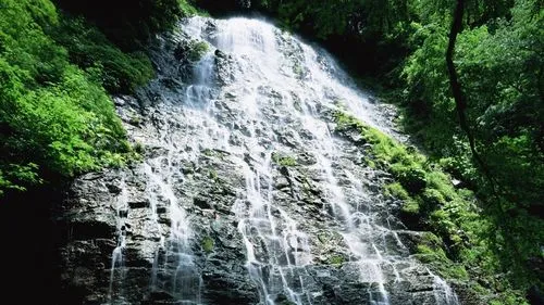 可靠性智能